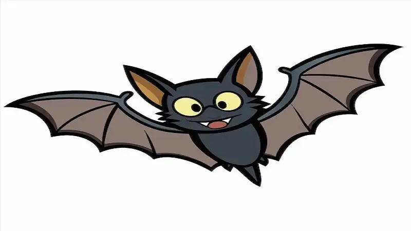 clipart:h80clp349va= bat